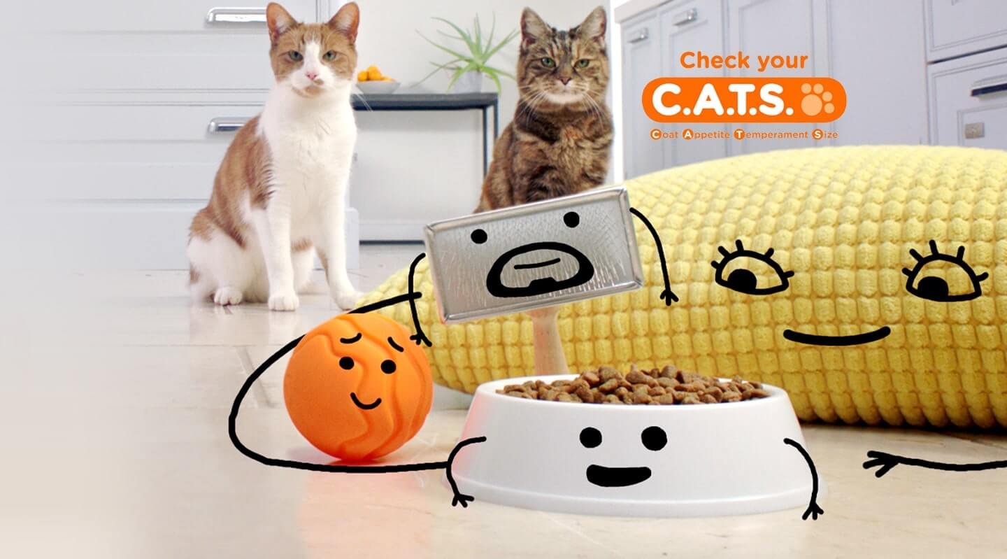 Homepage feature-CATS-Desktop-hi-res
