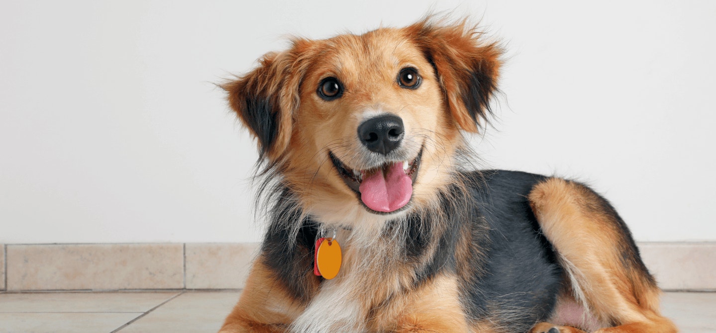 featured-content-homepage