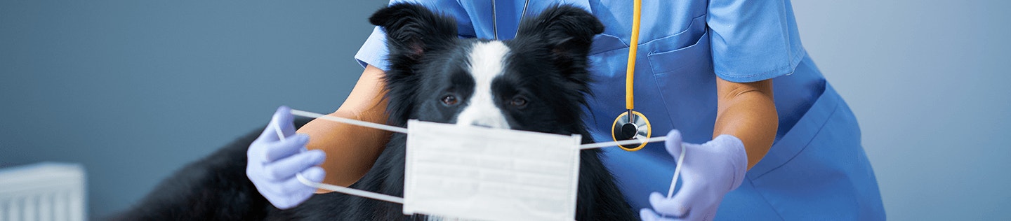 Our Response to COVID-19