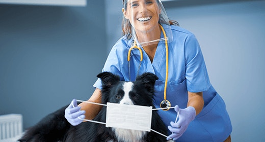 Our Response to COVID-19-mobile