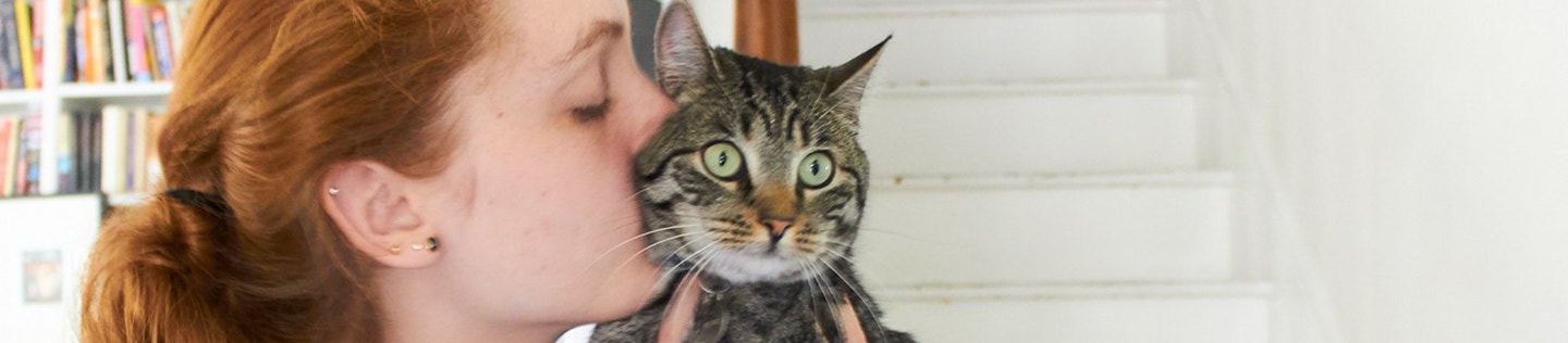 How to Keep Your Cat’s Urinary Tract in Tip-top Shape