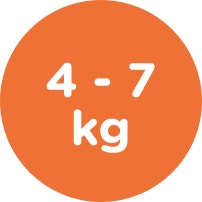 4 7 kg icon