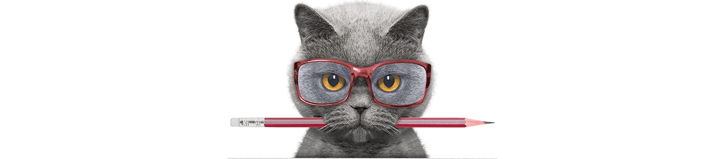 AAFCO Statements Explained 