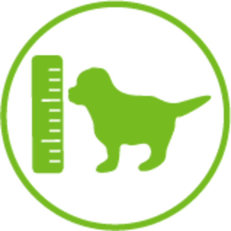 <p>HEALTHY COGNITION - with DHA to support Trainability</p>
