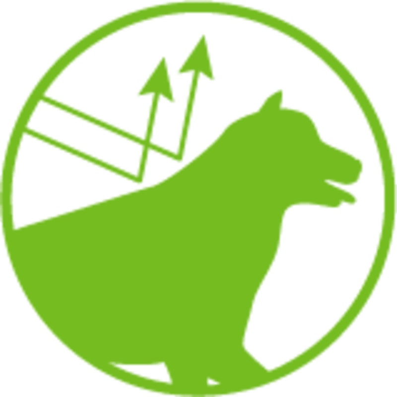 <p>HEALTHY METABOLISM - with vitamin B6-riched recipe</p>
