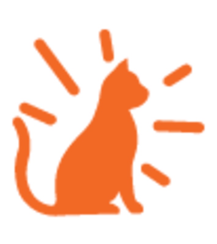 <p>Healthy skin &amp; coat: Formulated with Omega 6 and Omega 3 to help support healthy skin and coat</p>