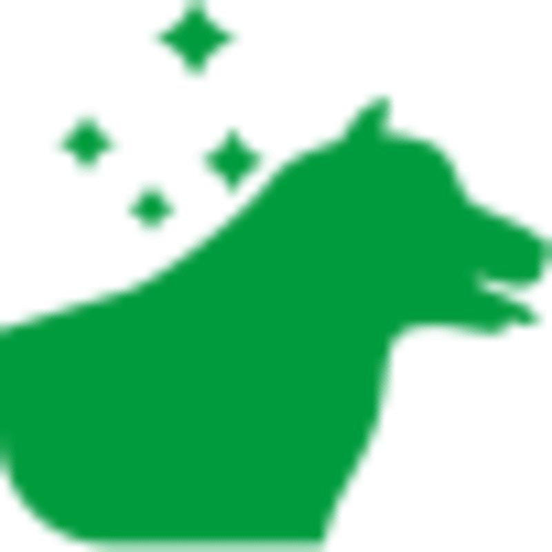 <p>SUPPORTS STRONG BONES &amp; JOINTS Ca &amp; P AND OMEGA FATTY ACIDS</p>
