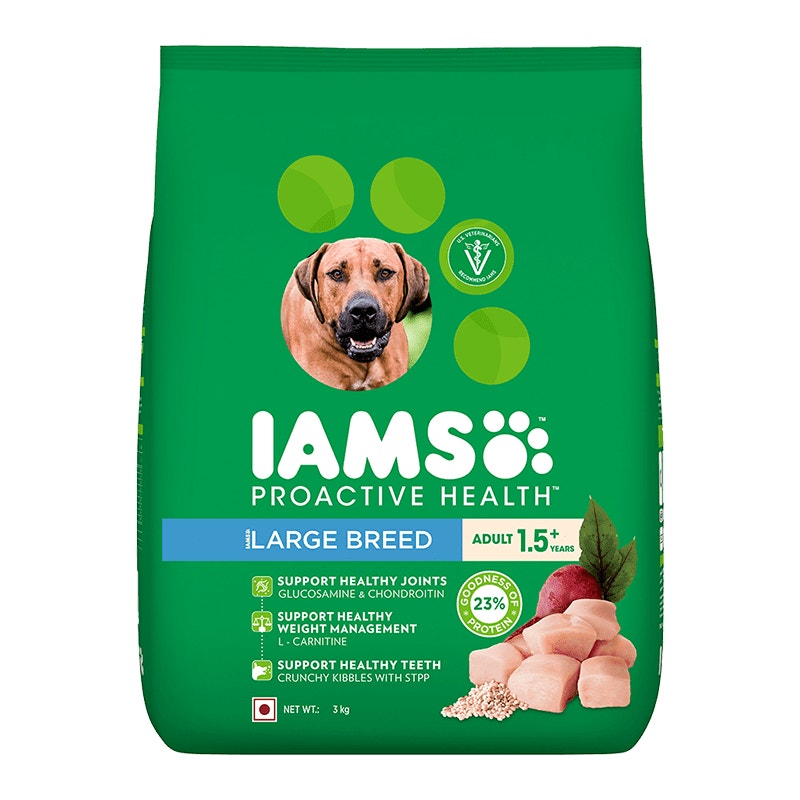 IAMS Adult large breed - 1