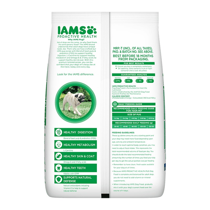 IAMS adult Pug - 2