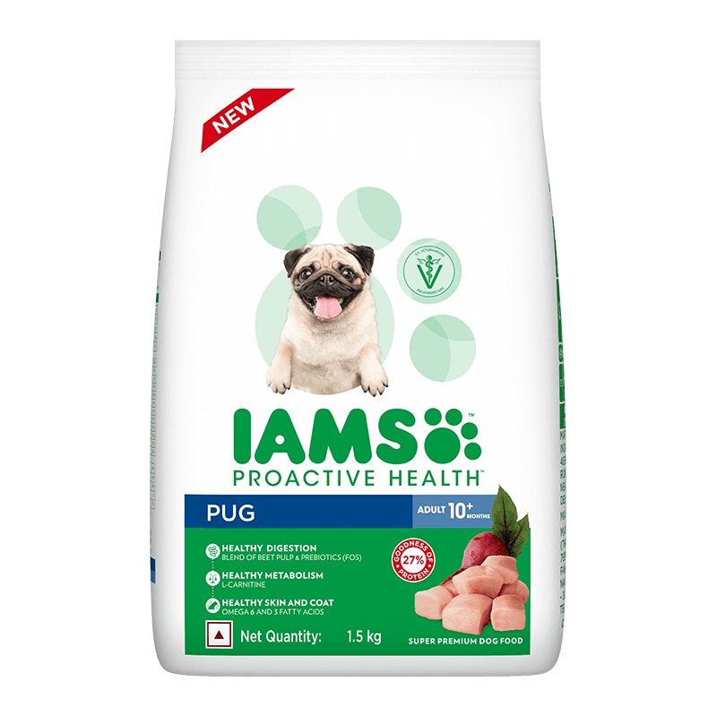 IAMS adult Pug - 1