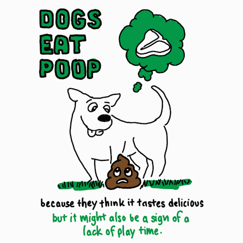 eatpoop fr dog
