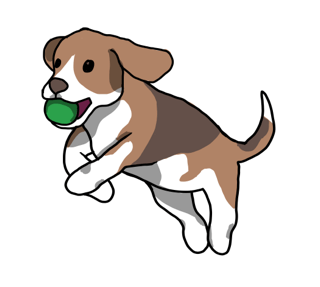 Choose the Right Food for Healthy Weight Loss